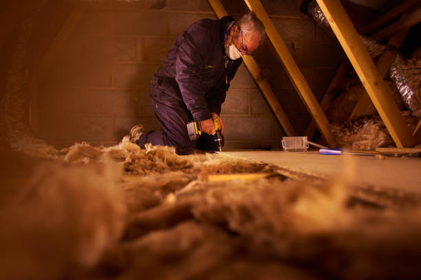 Best Residential Insulation Services  in USA